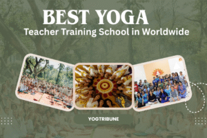 best-yoga-teacher-training-school-2026