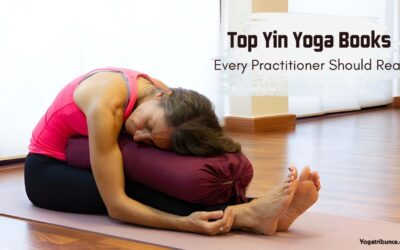 op-Yin-Yoga-Books-Every-Practitioner-Should-Read